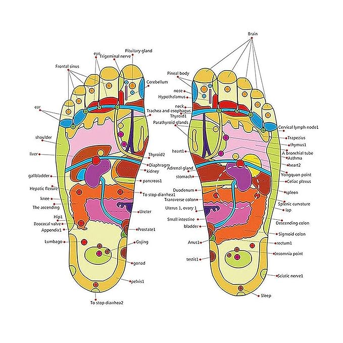 Natural Foot Slippers Massager - Zambeel