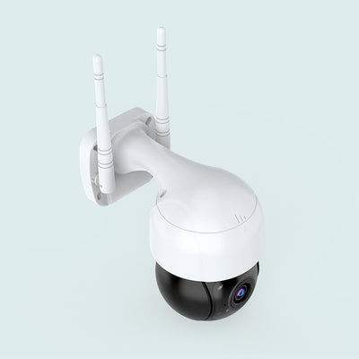 Network Dome Camera - Zambeel