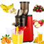 Nutrition Blender GS - 601 - Zambeel