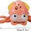 Octopus Water Toy - Zambeel