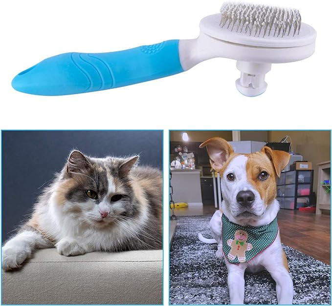 Pets Cleaning Brush - Zambeel