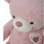 Pink Teddy Bear (75cm) - Zambeel