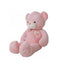 Pink Teddy Bear (75cm)