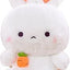 Plush Rabbit (22cm) - Zambeel