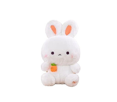 Plush Rabbit (22cm)