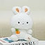 Plush Rabbit (22cm) - Zambeel