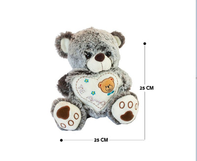 Plush Teddy With Heart - Zambeel