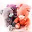 Plush Toy Teddy Bear - Zambeel