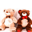 Plush Toy Teddy Bear - Zambeel