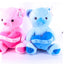 Plush Toy Teddy Bear - Zambeel