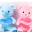 Plush Toy Teddy Bear - Zambeel