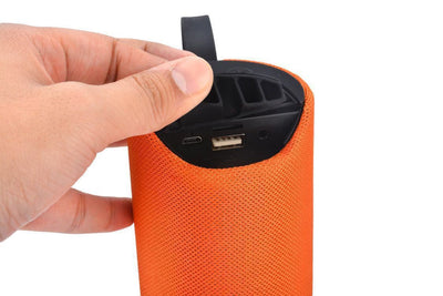 Portable Wireless Mini Speaker - Zambeel