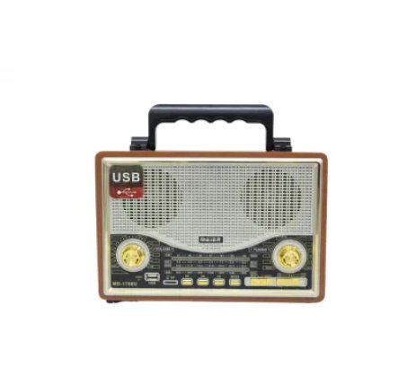 Portable Wireless Radio - Zambeel