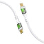 Promote USB - C Cable - Zambeel