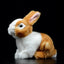 Rabbit Cushion - Zambeel