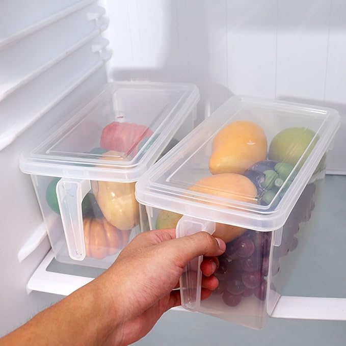 Refrigerator Storage Box (3Pcs) - Zambeel