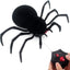 Remote Control Spider - Zambeel