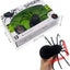 Remote Control Spider - Zambeel