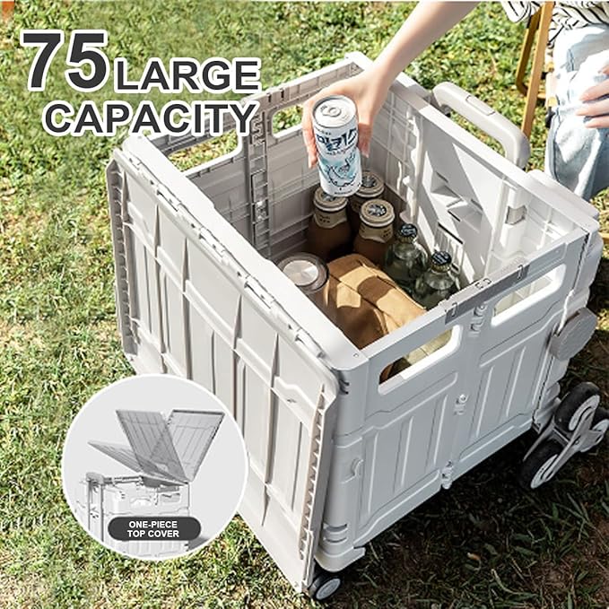 Rolling Crate on Wheels - Zambeel