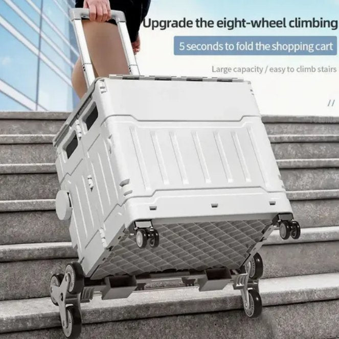 Rolling Crate on Wheels - Zambeel