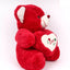 Rose Soft Teddy Bear - Zambeel