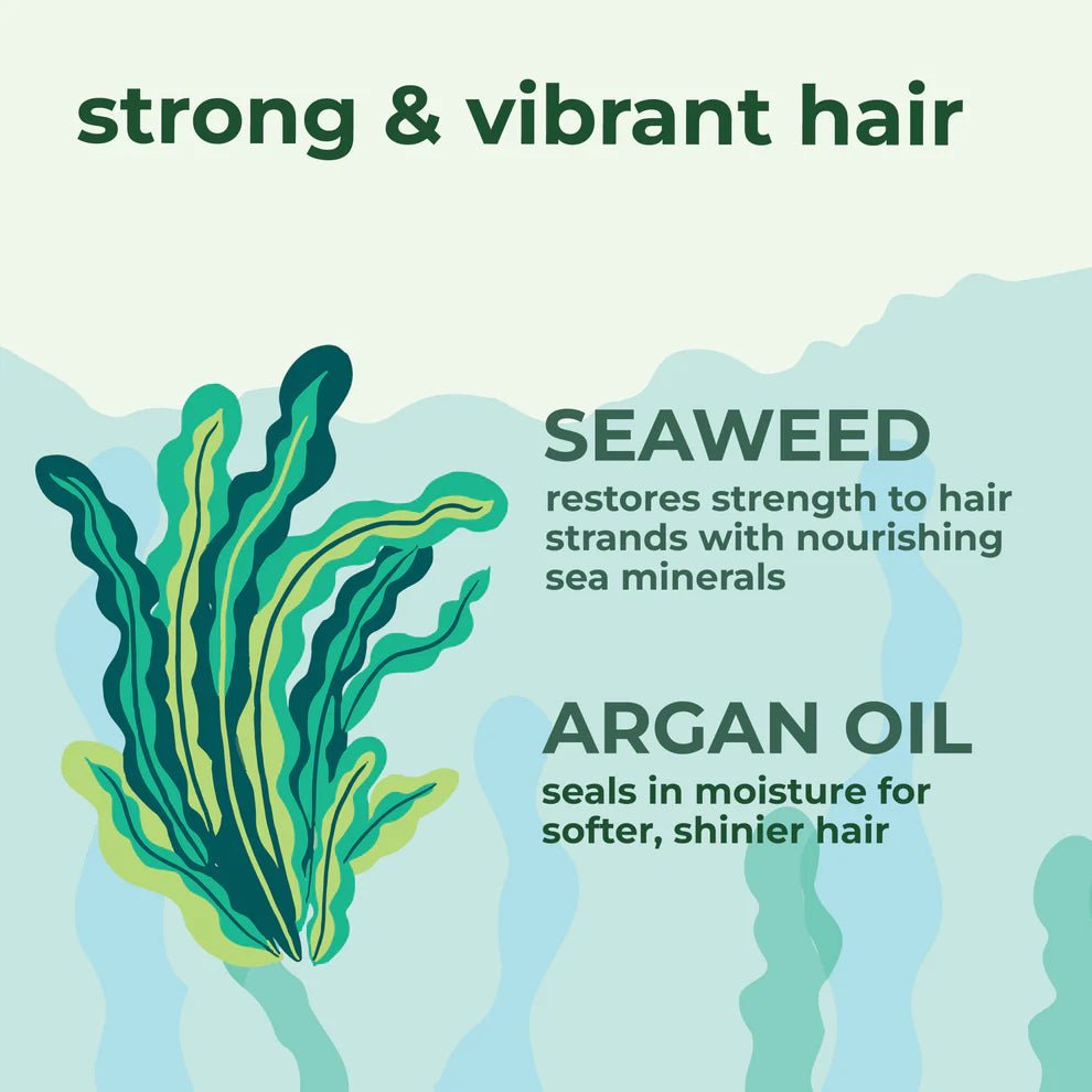 Seaweed & Argan Oil (355ml) - Zambeel