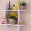 Six Boxes Wall Shelf - Zambeel