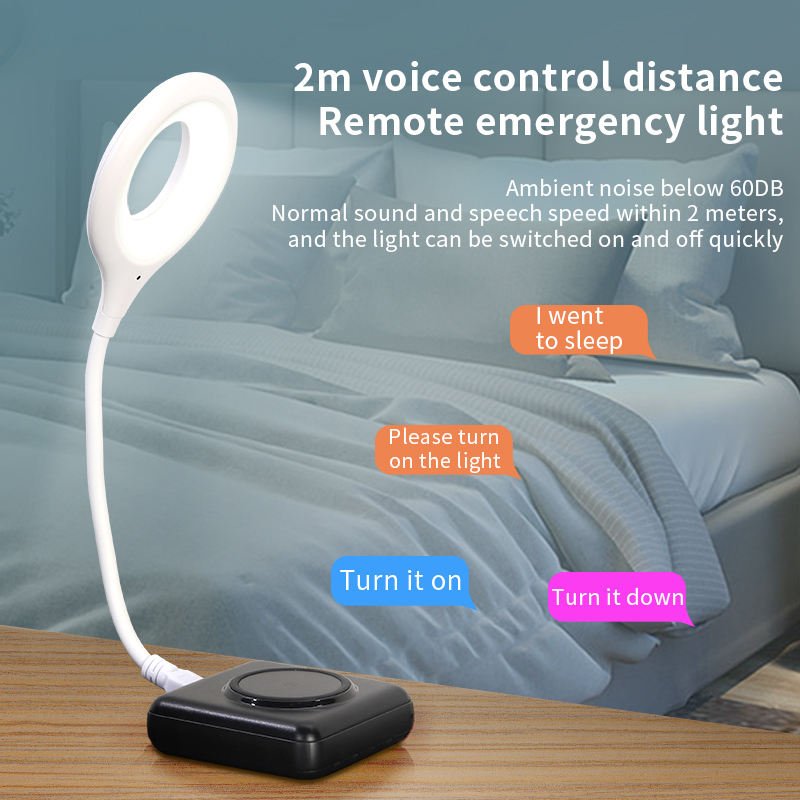 Smart Voice Control USB Light - Zambeel