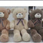 Soft Teddy Bear (70cm) - Zambeel