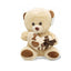 Soft Toy Teddy Bear - Zambeel