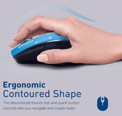 Wireless Ergonomic Mouse 2.4G