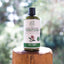 Tea Tree Conditioner (355ml) - Zambeel