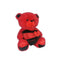 Teddy Bear for Valentine Day