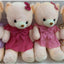 Teddy Bear Plush (50cm) - Zambeel