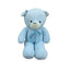 Teddy Bear Plush - Zambeel