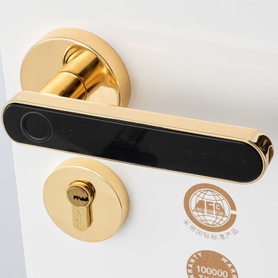 The Smart Door Lock Opens At A Touch - Zambeel