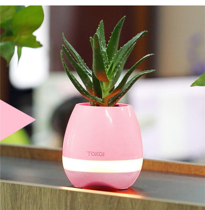 Touch - Sensitive Music Vase Desktop Audio - Zambeel