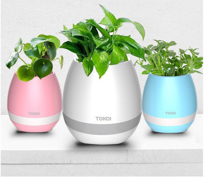 Touch - Sensitive Music Vase Desktop Audio - Zambeel