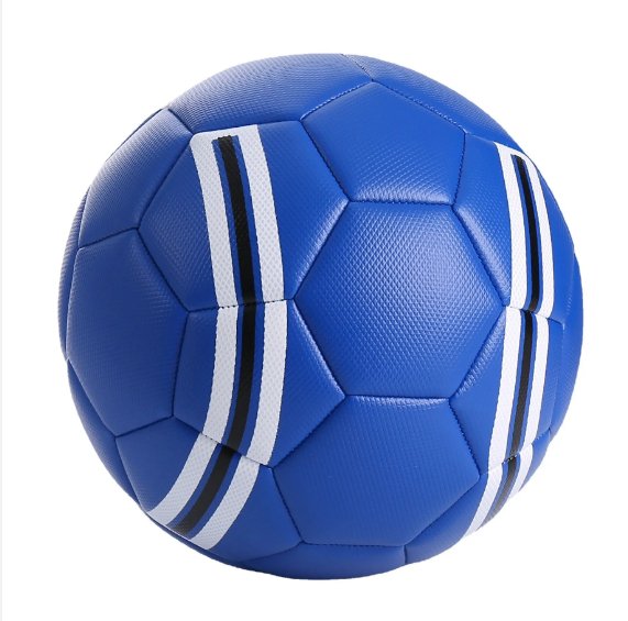 Training Soccer Ball - Zambeel