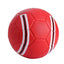 Training Soccer Ball - Zambeel