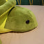 Turtle Plush Toy - Zambeel