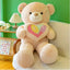 Valentine Teddy Bear Plush Toy - Zambeel