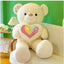 Valentine Teddy Bear Plush Toy - Zambeel