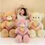 Valentine Teddy Bear Plush Toy - Zambeel