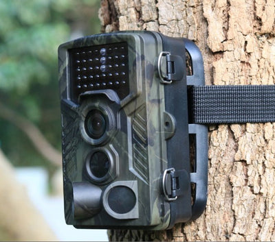 Wild hunting camera - Zambeel