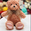 Winston Bear Plush (30cm) - Zambeel